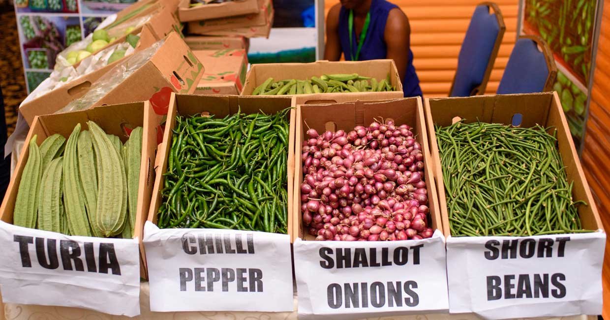 AB Farm’s exhibit at the 2019 HortiFresh Fruit and Vegetable Fair in Accra